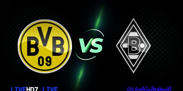 مشاهدة مباراة بوروسيا دورتموند وبوروسيا مونشنغلادباخ بث مباشر اليوم 2/3/2021 كأس المانيا